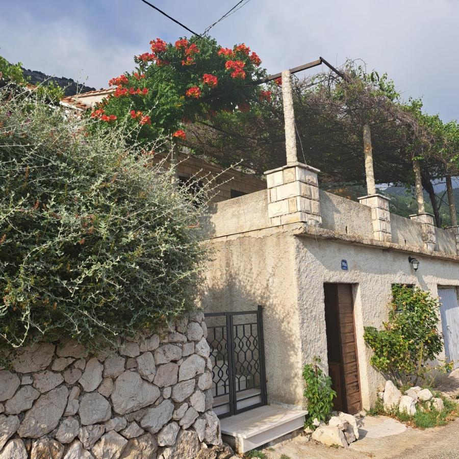 Guest House Tanja Babino Polje Bagian luar foto