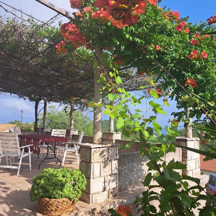 Guest House Tanja Babino Polje Bagian luar foto